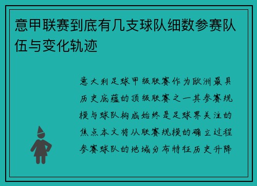 意甲联赛到底有几支球队细数参赛队伍与变化轨迹