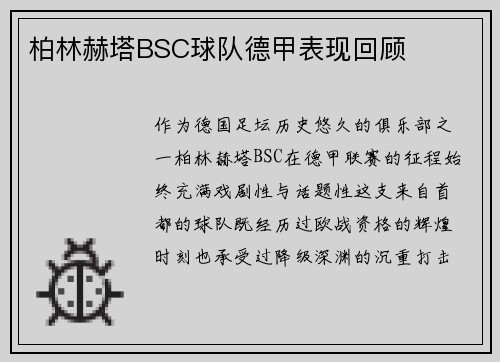 柏林赫塔BSC球队德甲表现回顾